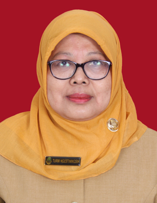 Dra. Turmi Ngestiningsih, MM