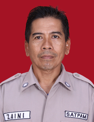 Zaini