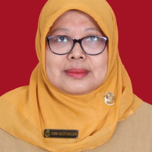 Dra. Turmi Ngestiningsih, MM